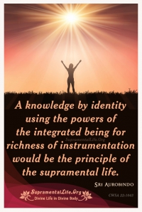 Supramental Life Principle.jpg